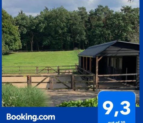Bosgebied Hoenderloo Bed & Breakfast | Bed and Breakfast De Paalberg