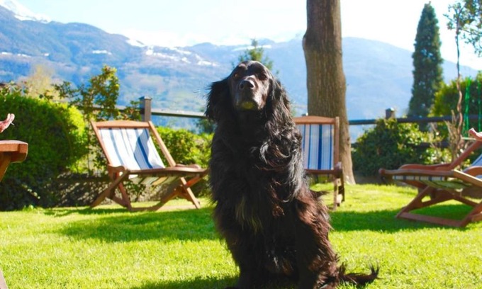 Aosta House | Bed & Breakfast Chez Berry
