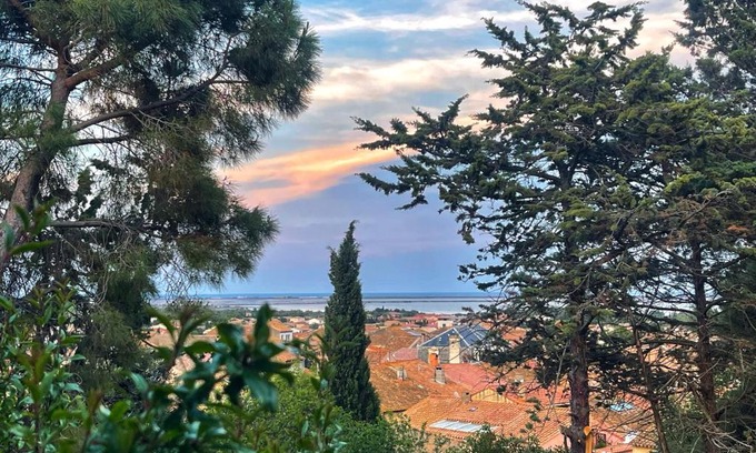 La Palme Bed & Breakfast | Bed & Diner Les Terrasses de La Palme