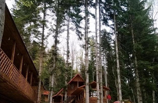 Arkhyz House | BeerLoga