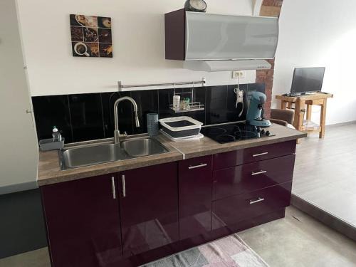 Coteaux Ouest Apartment | Bel appart spacieux 10min centre 300m quai de Seine WIFI