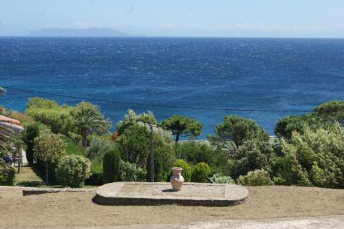 Santa-Severa Apartment | Bel appartement avec vue sur mer - Les Palmiers
