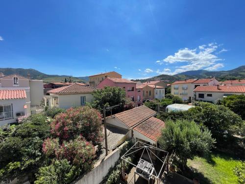 Banyuls-sur-Mer Apartment | Bel appartement T2 climatisé, centre de Banyuls, à 200m de la plage - FR-1-309-29