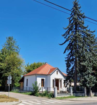 Banja Koviljaca Villa | Bela Vila