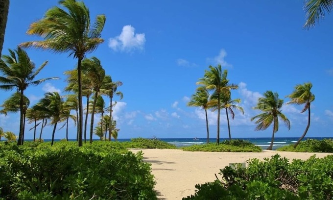 La Grande Princesse Condo | Bella Cabana at Pelican Cove - A Beachfront Paradise