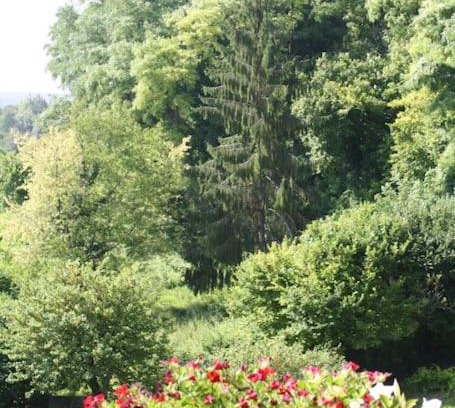 Aubeterre-sur-Dronne House | Bella Vista