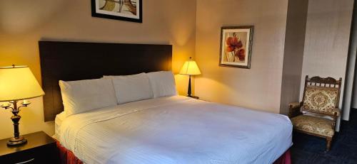 Cornwall Park Hotel | Bellis Inn