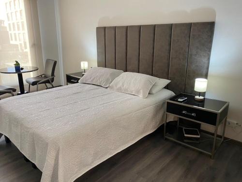 Downtown Santiago Apartment | BELLO APARTAMENTO EN SANTIAGO