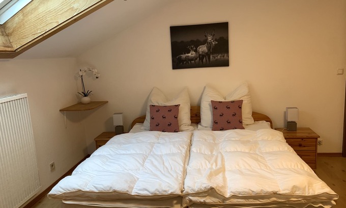 Oberstdorf Apartment | Bergrausch vacation apartment (in the city center)