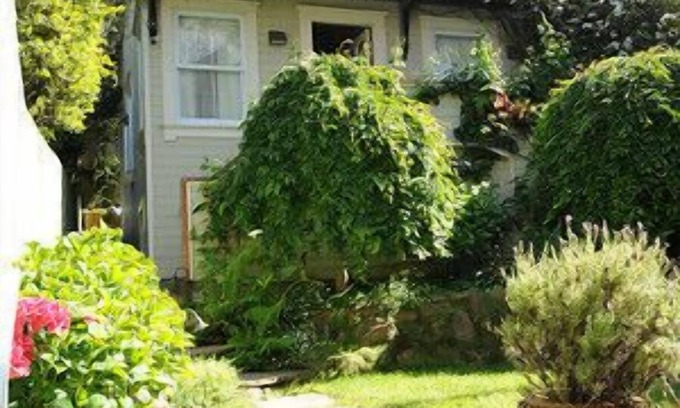 Pacific Heights Cottage | Best Central San Francisco Hidden Gem Luxury Cottage, Superb Location/Amenities