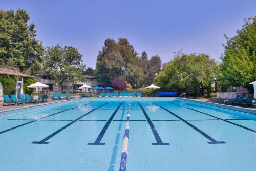 Corte Madera Hotel | Best Western Corte Madera Inn