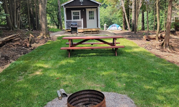 Germfask Cabin | Bevs Bald Eagles Nest in Germfask 35 min from Pictured Rocks