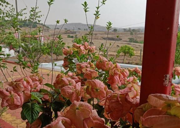 Akola Villa | Bhau Mukadam Villa Gondoshi