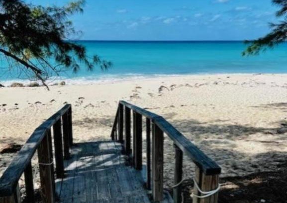 Alice Town Apartment | Bimini World Resorts Tipsy Turtle With Boatslip