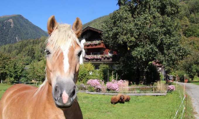 Obervellach House | Bio-Bauernhof Auernig