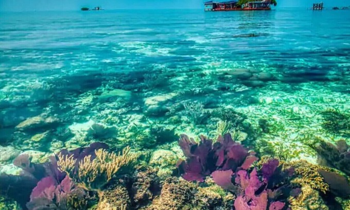 Placencia Cabin | Bird Island - a unique private island experience.