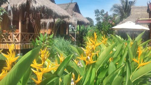 Krong Kaeb Hotel | Bird of Paradise Bungalows