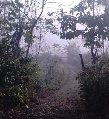 Chitwan District Other | Bird Sanctuary Farm House