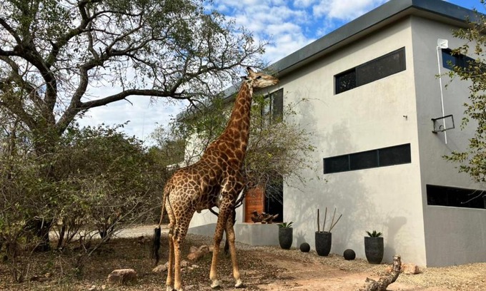 Marloth Park House | Birdsong Kruger