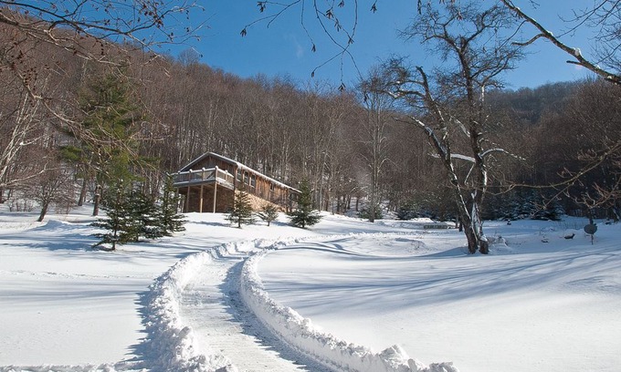Frank House | BirdTown Guesthouse/Cabin - National forest, pond, views, quiet & secluded