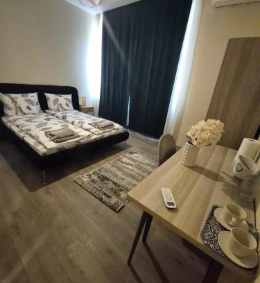 Satu Mare House | Bitcoin Rooms