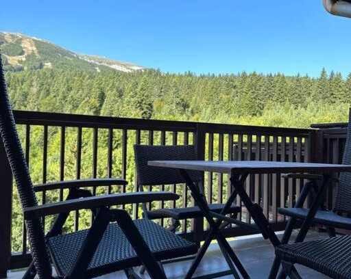 Bjelasnica Apartment | Bjelasnica with amazing view