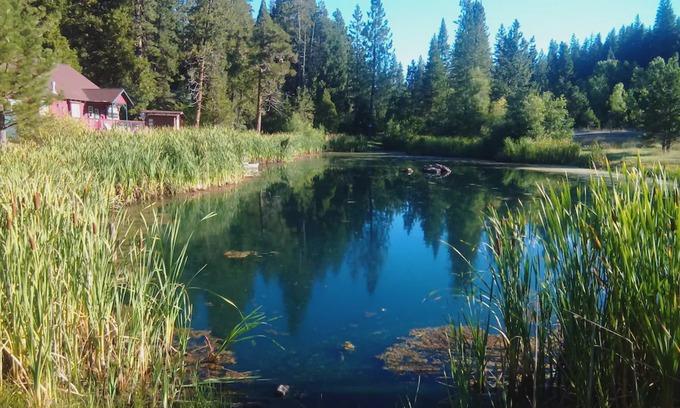 Long Barn Cabin | Black Bear Cabin In The Stanislaus National Forest.