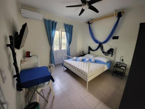 Apollonia House | Black Fig
