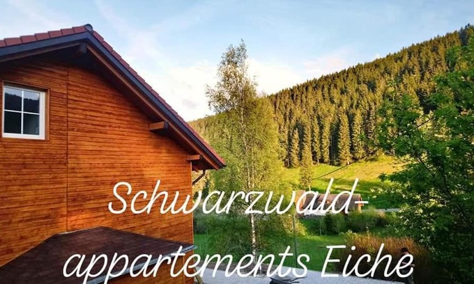 Neuglashutten Apartment | Black Forest Apartements by Hotel Grüner Baum Feldberg