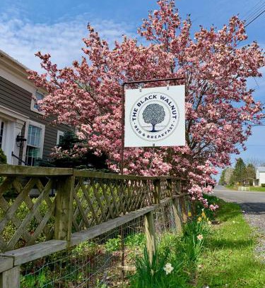 Interlaken Bed & Breakfast | Black Walnut Bed and Breakfast