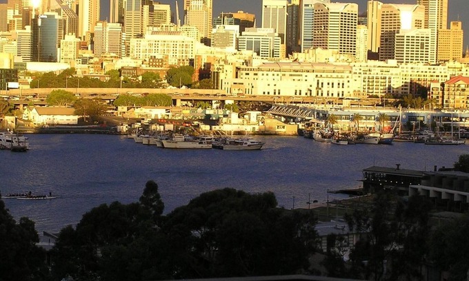 Glebe Apartment | Blackwattle Bay Apartment