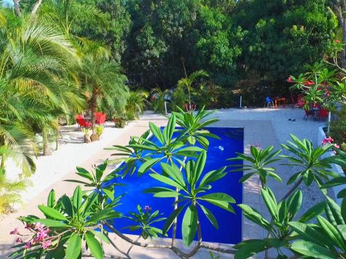 Montezuma House | Blanconejo de Montezuma