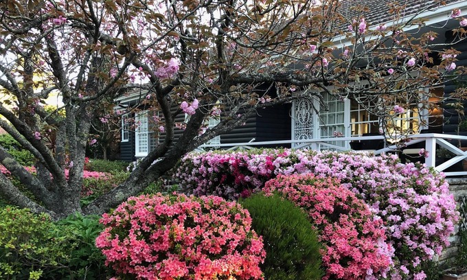 Wentworth Falls House | Blomst, on the Golf Course Wentworth Falls