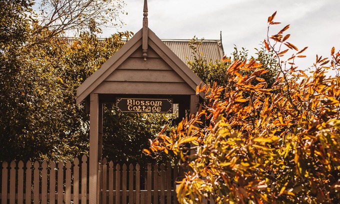 Blackheath Cottage | Blossom Cottage Blackheath couples family friendly gas log fire bush walks cafes
