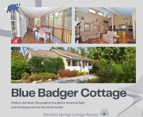 Berkeley Springs Ski Chalet | Blue Badger Cottage -Wifi, Fire Pit, Fireplace, Screen Porch, Game Room, King Bed, Grill