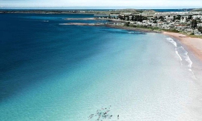 Lake Illawarra House | Blue Beach House - dog friendly. Walk to Beach, lake. Fish surf swim SUP dive