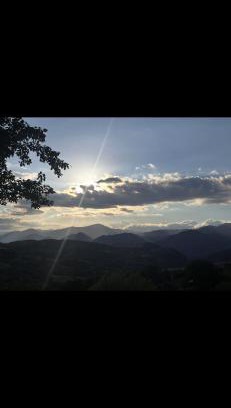 Likani House | blue bird