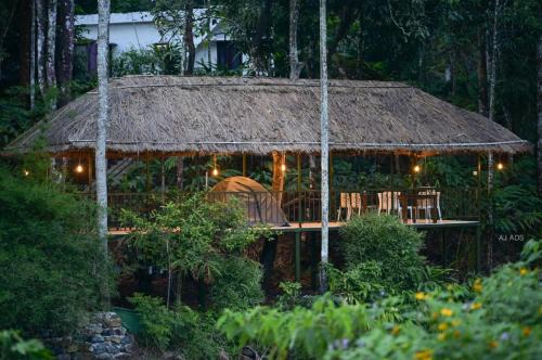 Vayittiri Other | BLUE CREEK resort