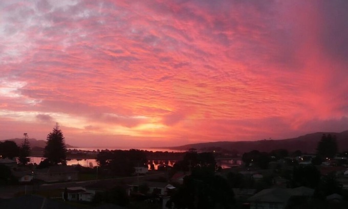 Raglan Apartment | Blue Dolphin Sea Views 3 Minute Walk To Town