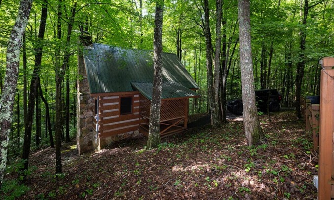 Cosby Cabin | Blue Heaven-Quaint, cozy, authentic log cabin