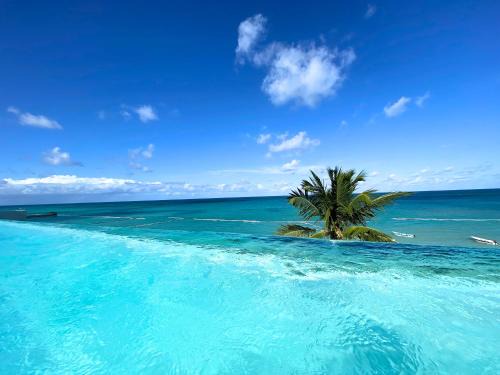 Bavaro Hotel | BLUE MARE DELUXE BAVARO VILLAS - Beach Suites, Concierge Service & SPA