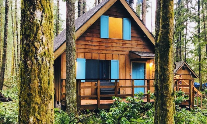 Ashford Cabin | 🏔 Blue Ox Basecamp Cabin: WiFi, Hot tub, Fireplace by Mt Rainier National Park