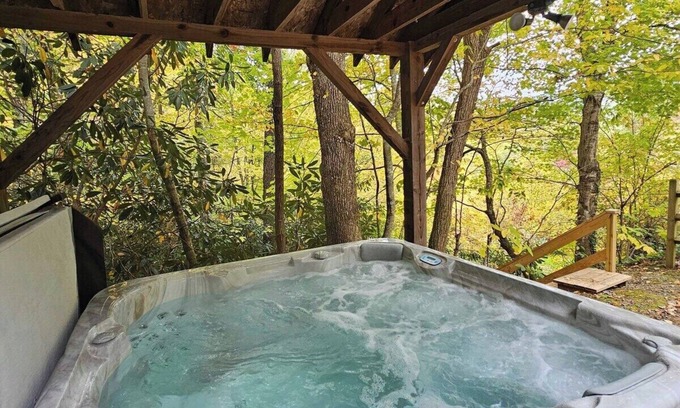 Canton House | Blue Ridge Bungalow | Amazing Views of the Smokies