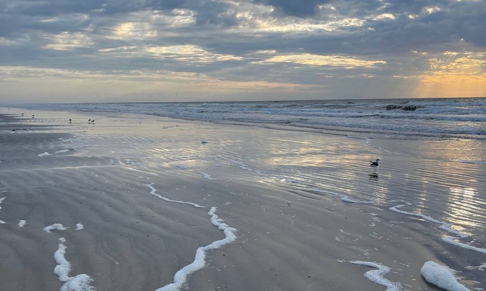 Freeport House | Blue Sea Star II Big fenced yard step away to beach Aug11-14 50% OFF @115 nt