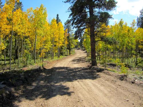 Black Hawk House | Blue Sky Mountain Ranch