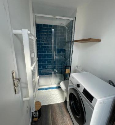 Vierzon Apartment | Blue Vervet - T2 avec parking