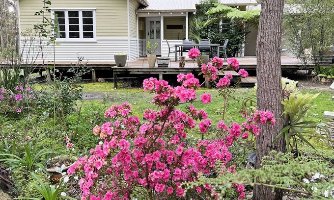 Denmark House | Blue Wren Lodge - forest setting & close to town.