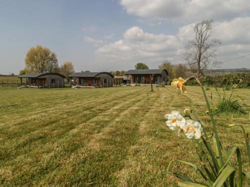 East Pennard House | Bluebell