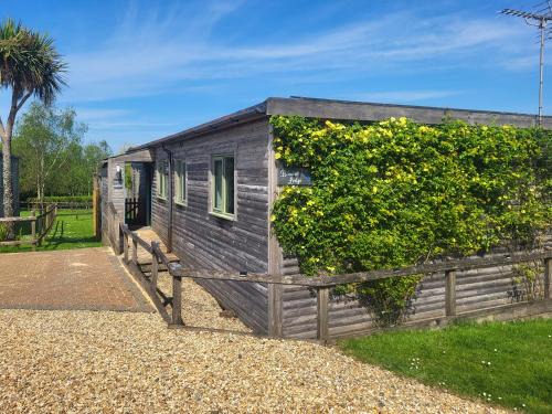 Holsworthy House | Bluebell Lodge