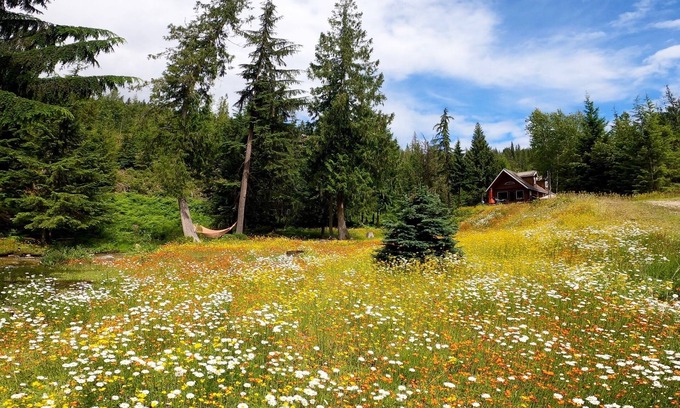 Albas Cottage | Blueberry Springs on Shuswap Lake. "Escape to Nature"